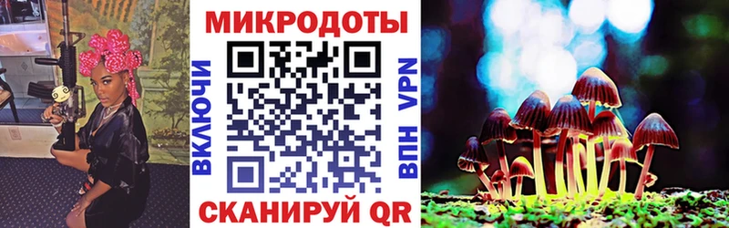 Псилоцибиновые грибы Psilocybe  МЕГА как зайти  Томмот  цены  