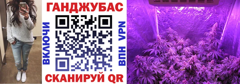 ОМГ ОМГ ТОР  Томмот  Канабис конопля 